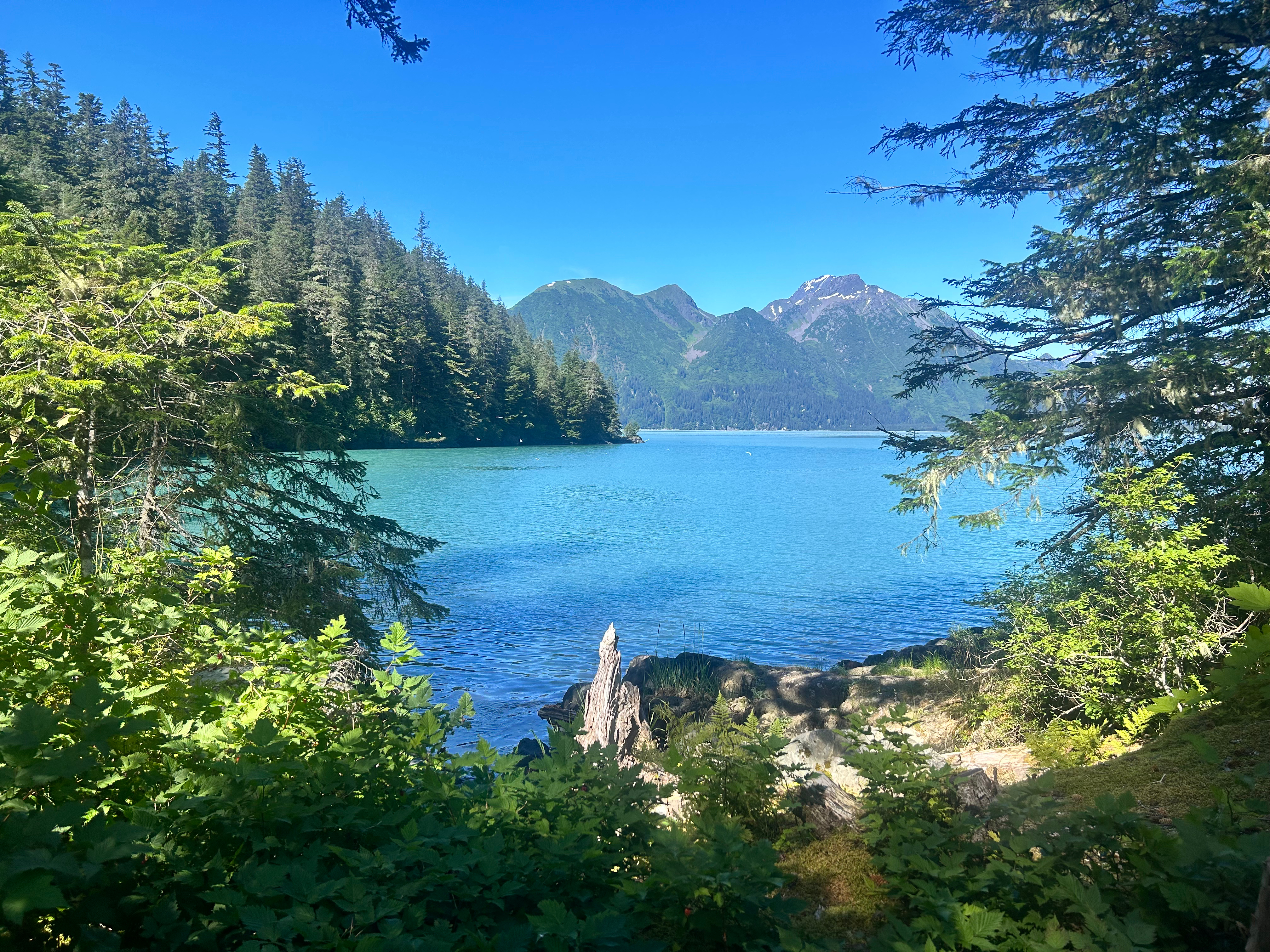 Outdoor hot tub and cedar sauna at Ellsworth Glacier View Cabins with mountain and glacier backdrop