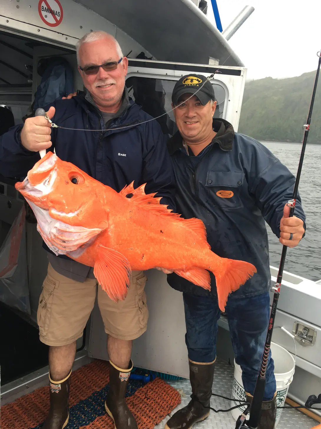 Orange Fish