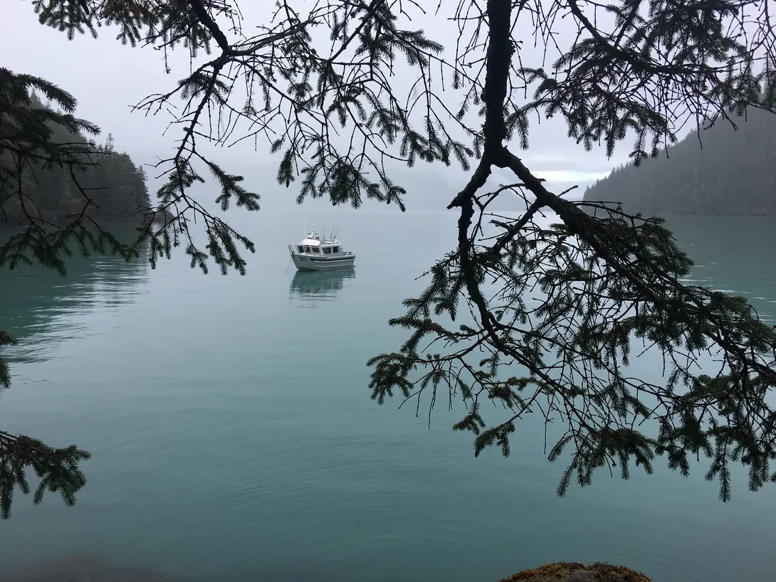 Boat in the Bay