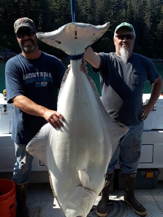 Big Catch