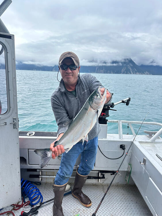 Caught Salmon