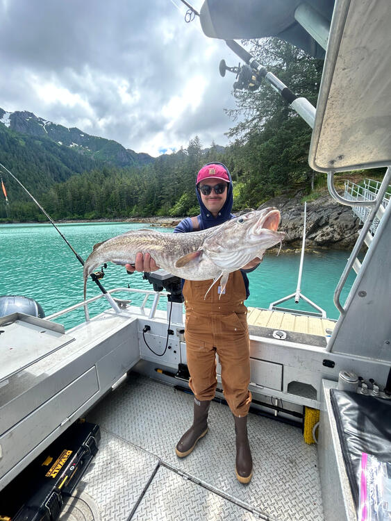 Catch of the Day